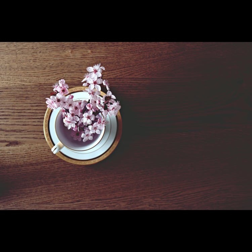 Meet your Posh Ambassador , Fiona